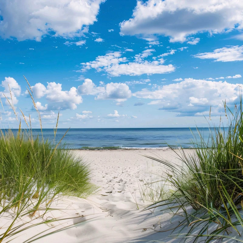 Poster Strand mit beruhigendem Meerblick Quadrat