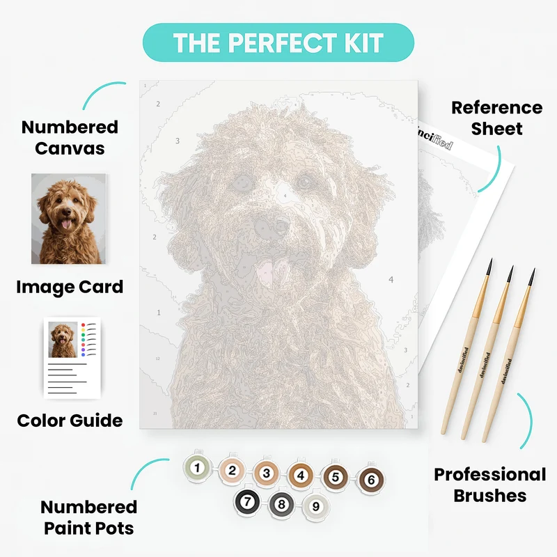 Curly-Coated Labradoodle with Happy Expression - Paint by Numbers Kit