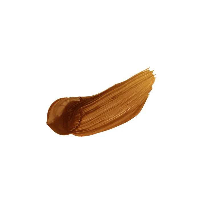 Holbein Heavy Body Professional Acrylic Paints, Brown Shades