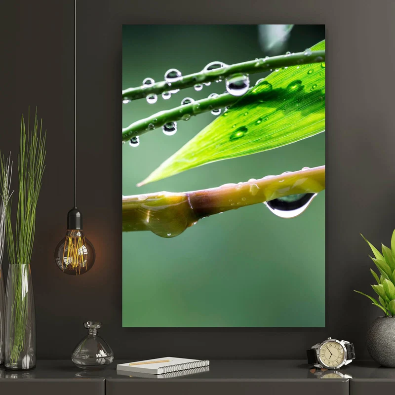 Acrylglasbild Natur Bambus mit Wasser Tropfen Hochformat