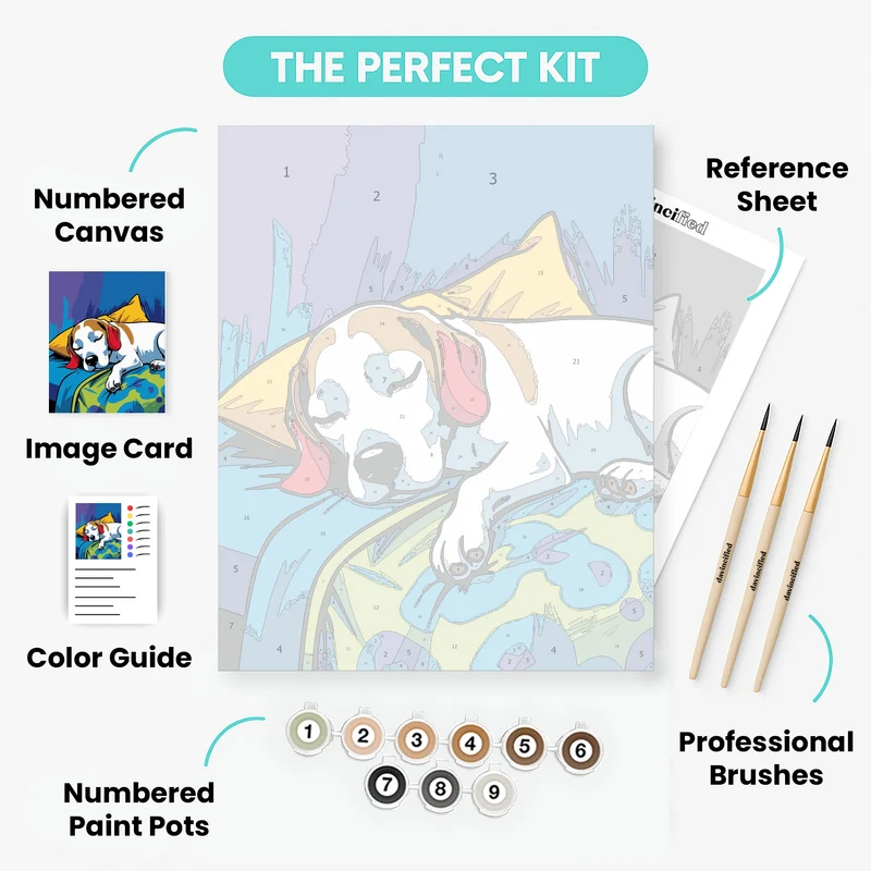 Sleeping Beagle on Colorful Pillows - Paint by Numbers Kit