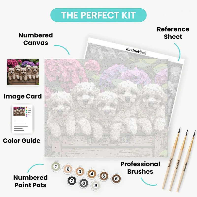 Labradoodle Puppies in Flower Garden - Paint by Numbers Kit