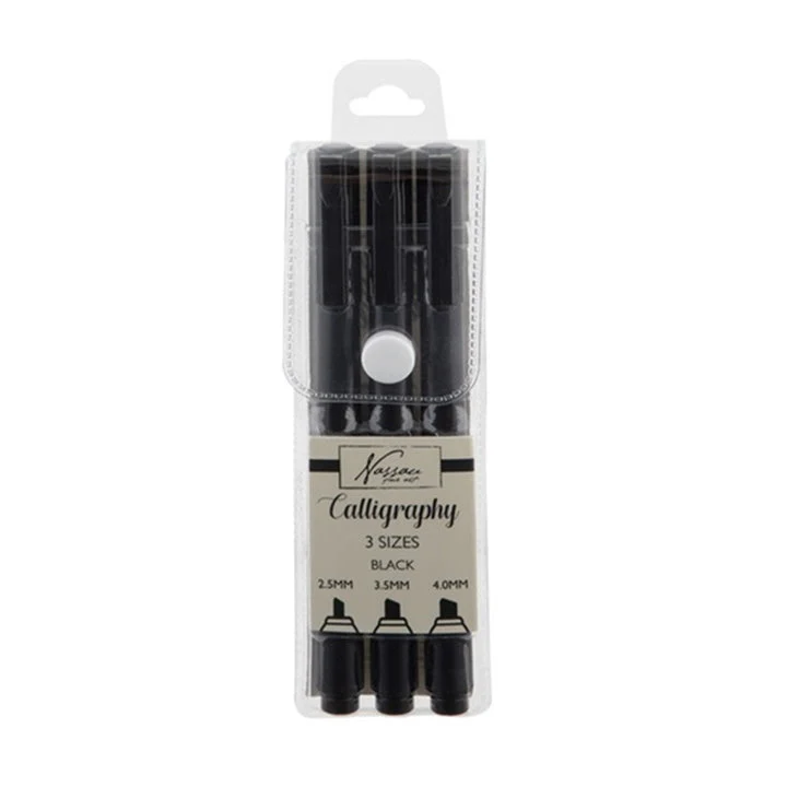 Calligraphy Pens in Case, Set of 3