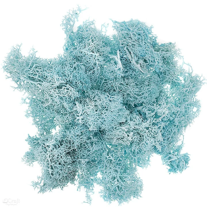 Natural Reindeer Moss 30 g