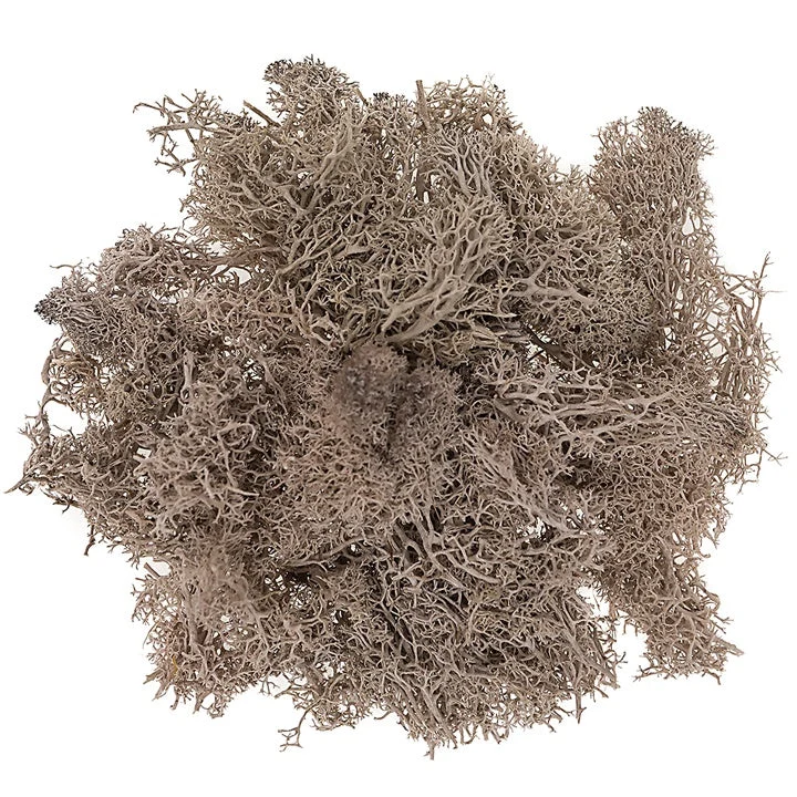 Natural Reindeer Moss 30 g