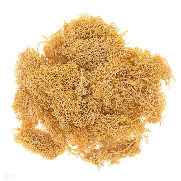 Natural Reindeer Moss 30 g