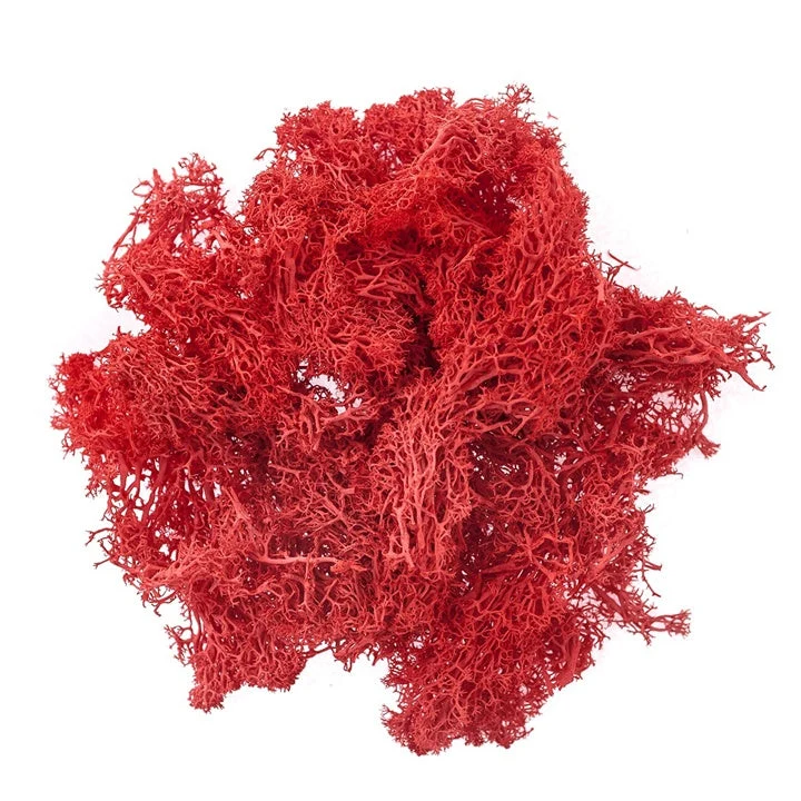 Natural Reindeer Moss 30 g