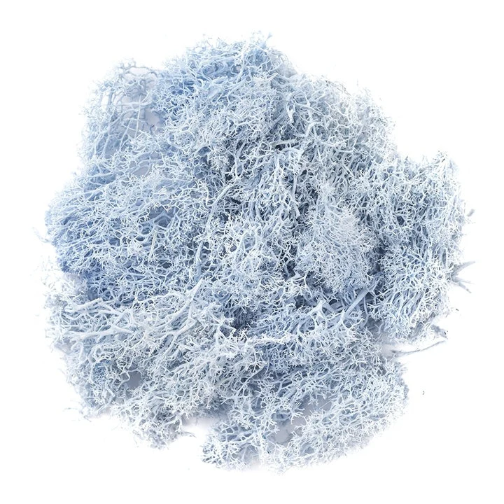 Natural Reindeer Moss 30 g