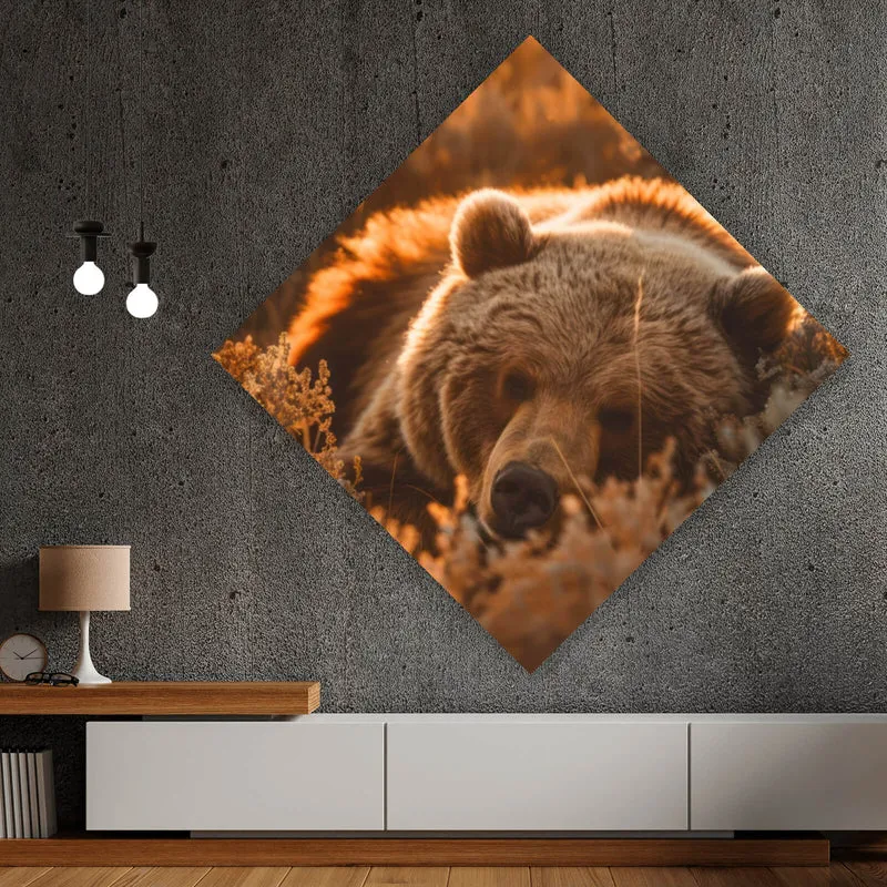 Poster Schlafender Bär im Sonnenlicht Raute