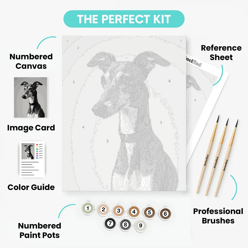Elegant Greyhound in Embroidered Collar - Paint by Numbers Kit