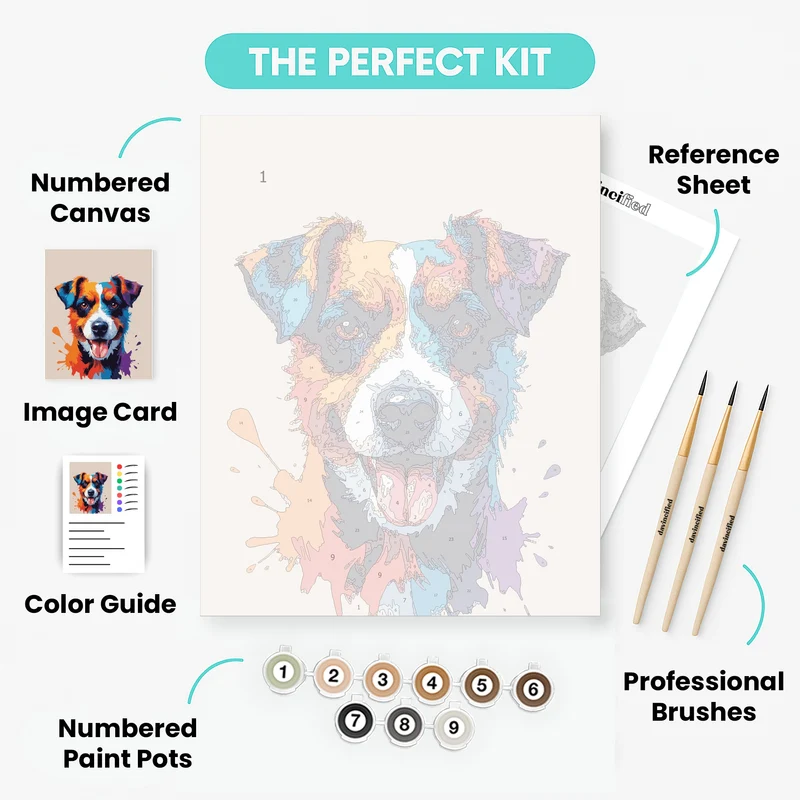 Colorful Splash Australian Shepherd - Paint by Numbers Kit