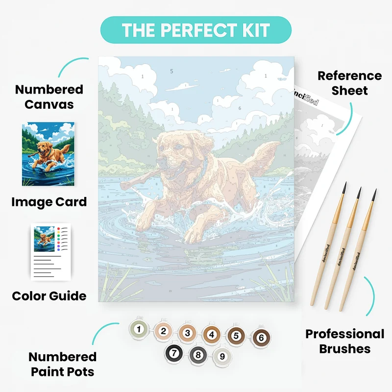 Golden Retriever Playing in Water - Paint by Numbers Kit