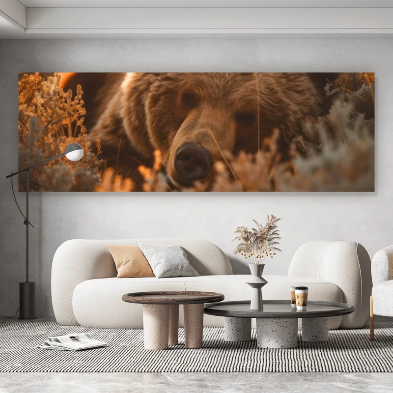 Aluminiumbild gebürstet Schlafender Bär im Sonnenlicht Panorama