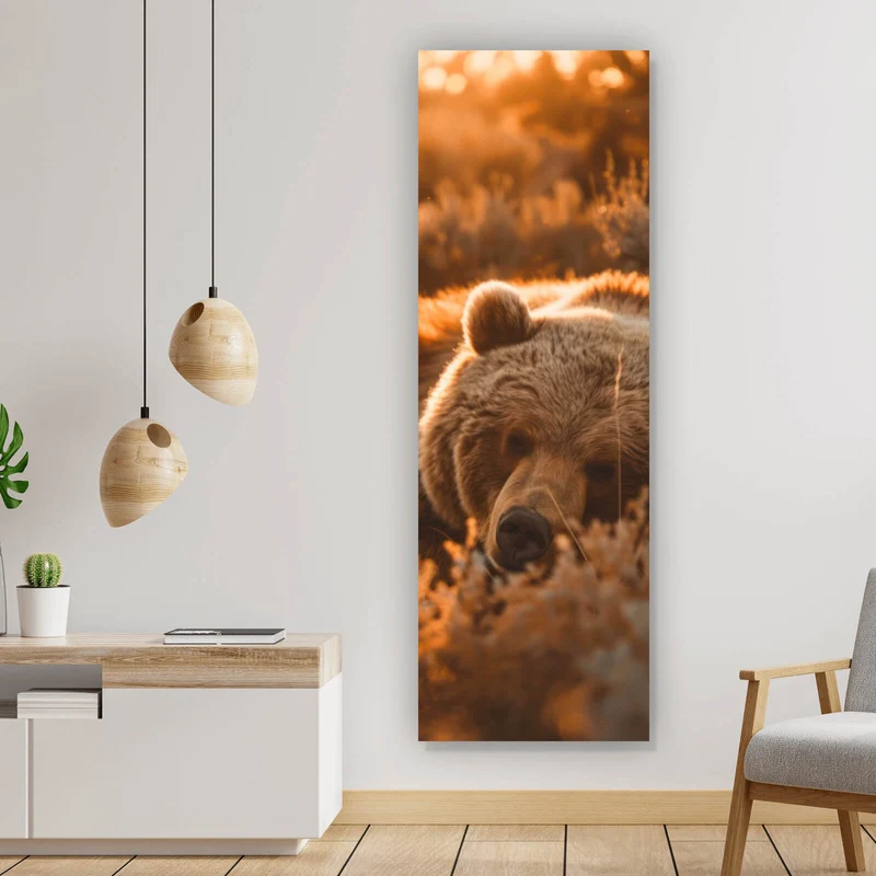 Spannrahmenbild Schlafender Bär im Sonnenlicht Panorama Hoch
