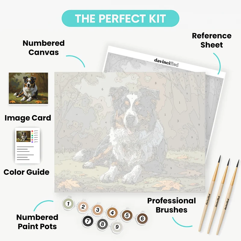 Australian Shepherd in Autumn Leaves - Paint by Numbers Kit