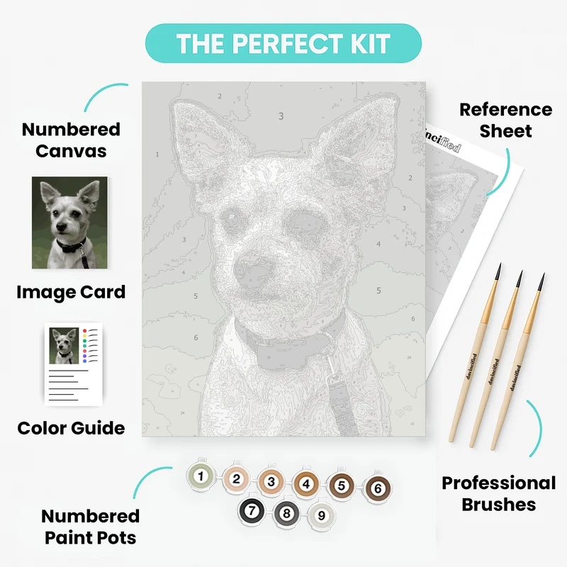 Adorable White Schnauzer Portrait - Paint by Numbers Kit