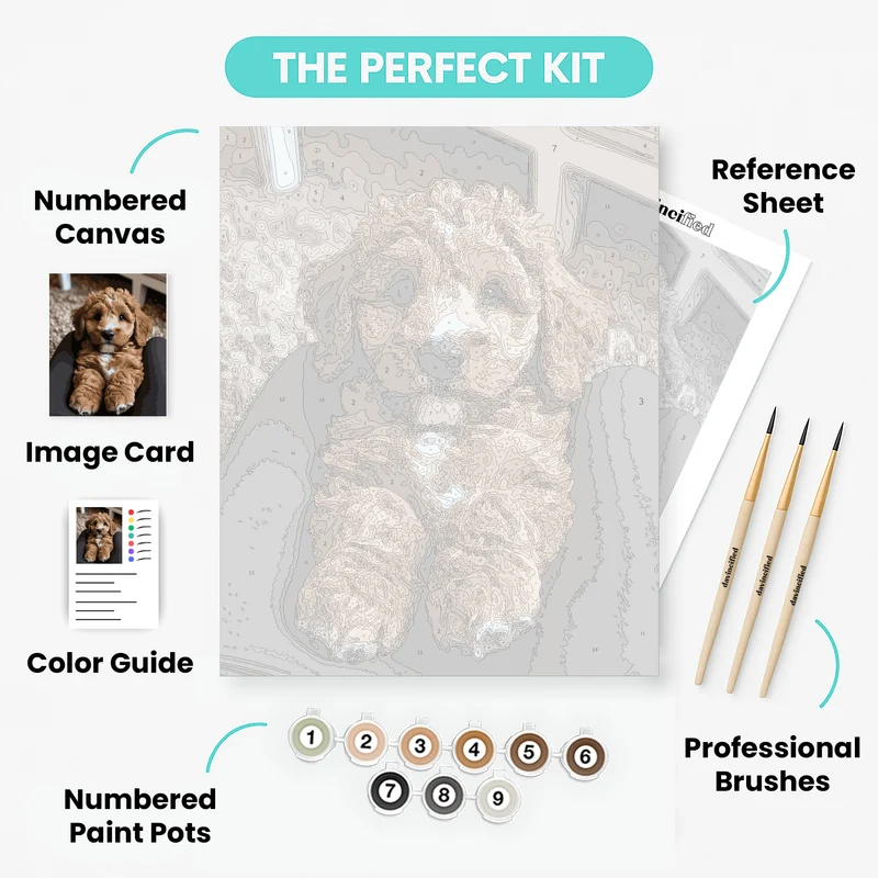 Adorable Cockapoo Puppy with Curly Fur - Paint by Numbers Kit