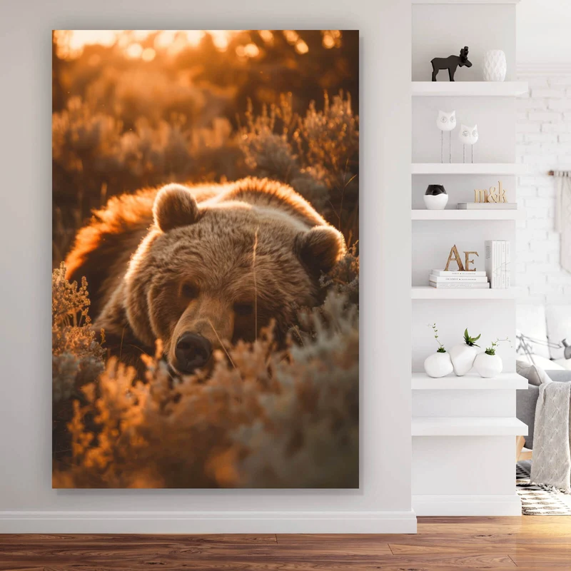 Aluminiumbild Schlafender Bär im Sonnenlicht Hochformat