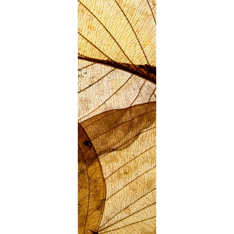 Poster Edle Blattstruktur im Herbst Panorama Hoch