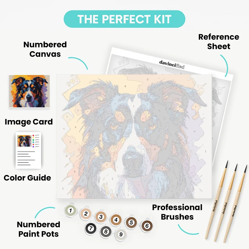 Border Collie Portrait - Paint by Numbers Kit