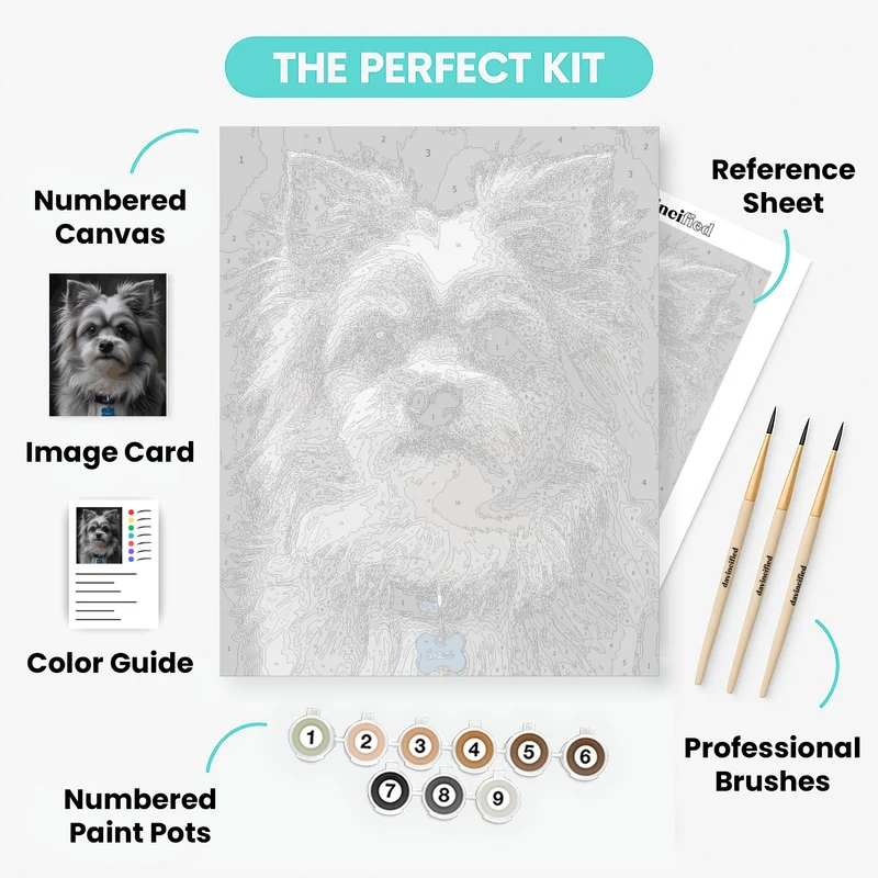Fluffy Long-Haired Dog with Blue Collar - Paint by Numbers Kit