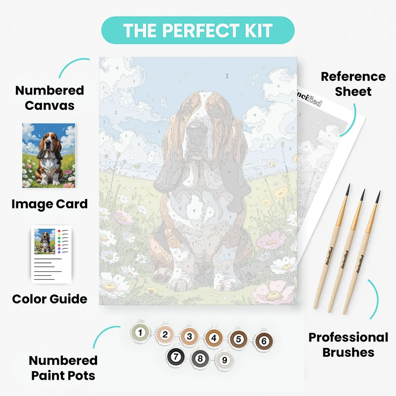 Basset Hound in Flower Field - Paint by Numbers Kit