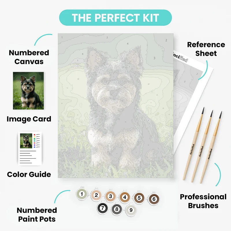 Adorable Yorkshire Terrier - Paint by Numbers Kit