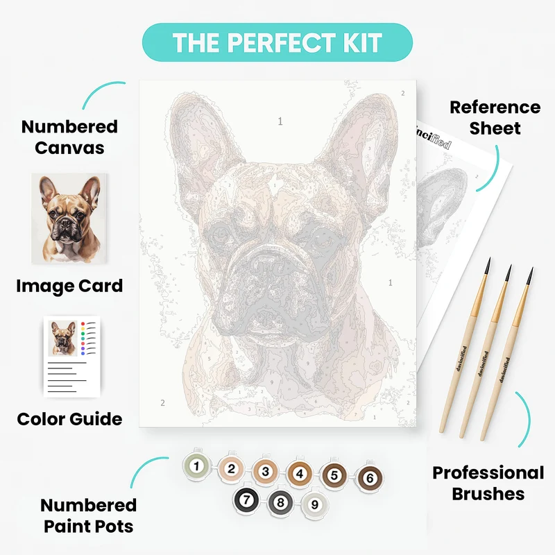 French Bulldog Portrait - Paint by Numbers Kit