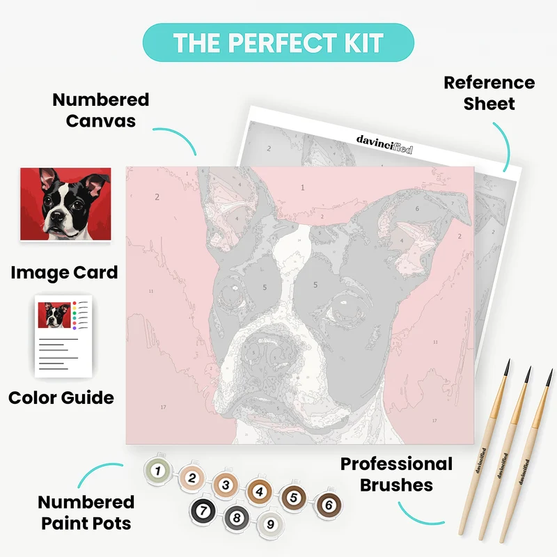 Boston Terrier Against Vibrant Red - Paint by Numbers Kit