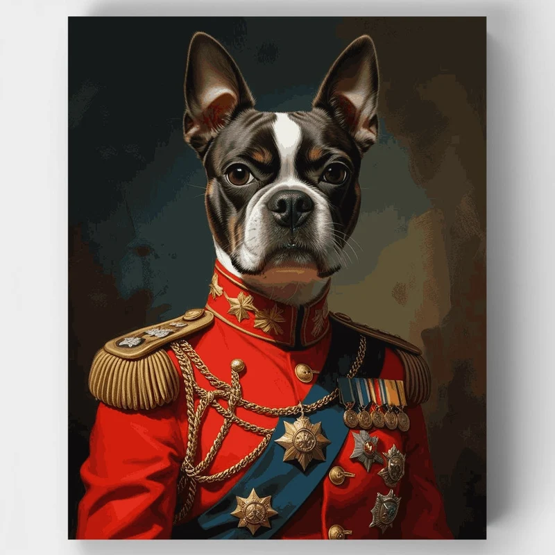 Boston Terrier General - Paint by Numbers Kit