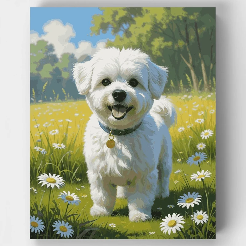 Happy White Fluffy Dog in Daisy Field - Paint by Numbers Kit