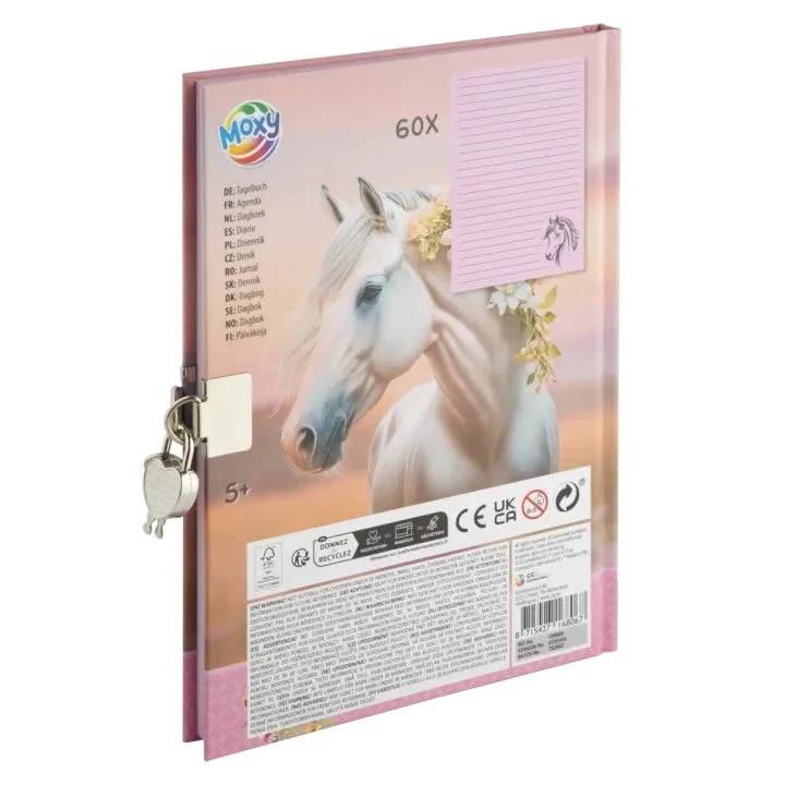 MOXY Secret Diary with Lock and Key, A5, 60 Sheets
