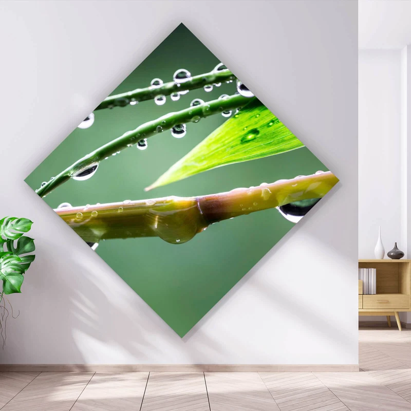 Poster Natur Bambus mit Wasser Tropfen Raute