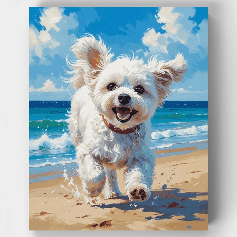Happy Bichon Frise at the Beach - Paint by Numbers Kit