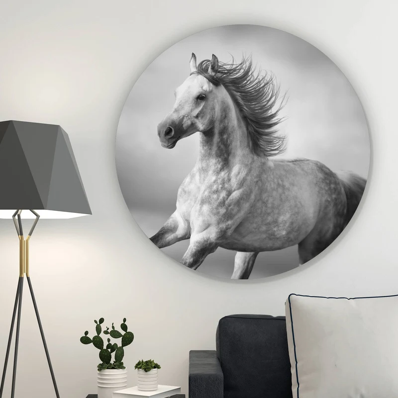 Aluminiumbild Majestätisches Pferdeportrait in Bewegung Kreis