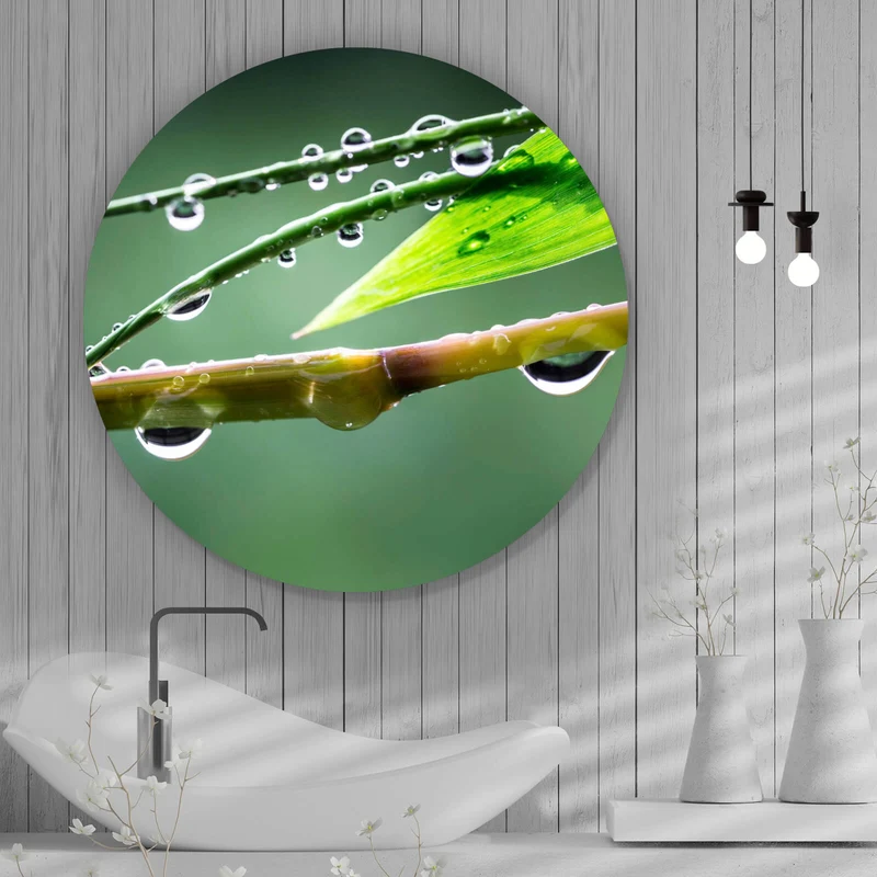 Aluminiumbild Natur Bambus mit Wasser Tropfen Kreis