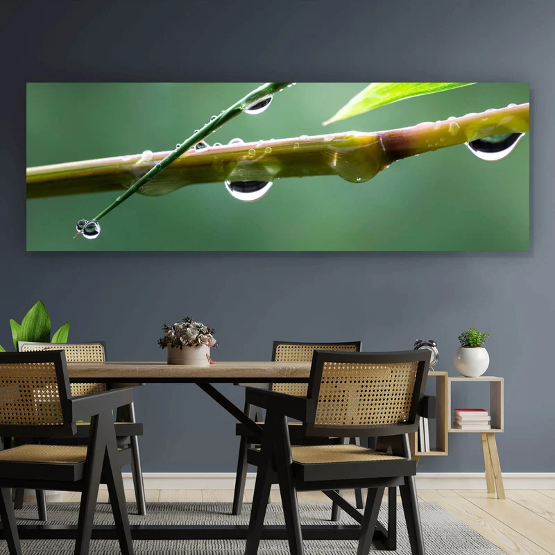 Spannrahmenbild Natur Bambus mit Wasser Tropfen Panorama