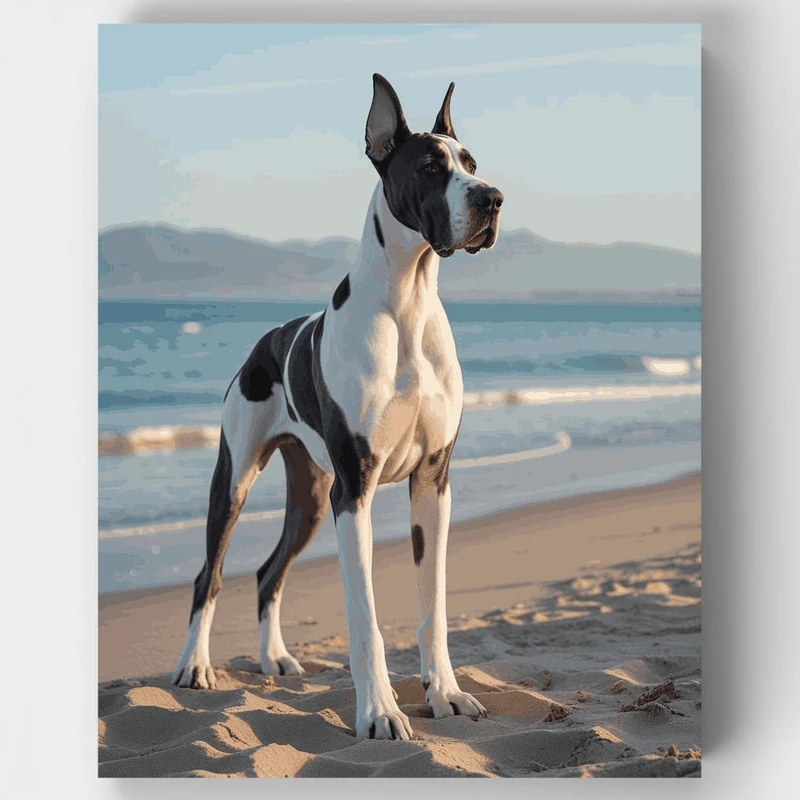 Majestic Great Dane on Beach - Paint by Numbers Kit