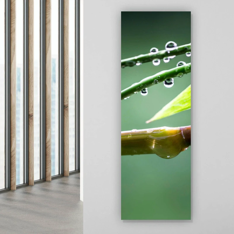 Aluminiumbild gebürstet Natur Bambus mit Wasser Tropfen Panorama Hoch