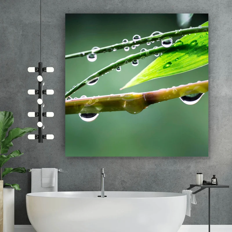 Aluminiumbild Natur Bambus mit Wasser Tropfen Quadrat