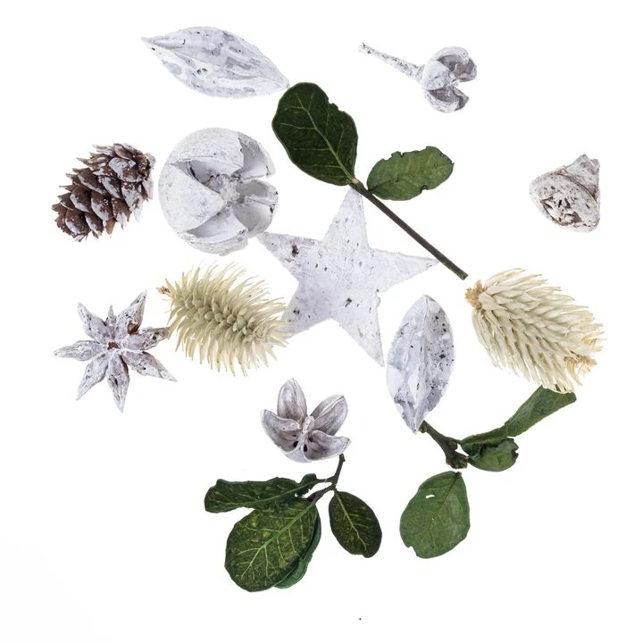 Dried Exotic Fruits and Leaves 20 g