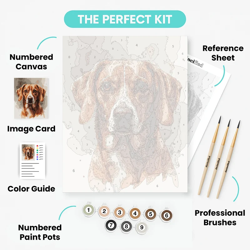 Beagle Portrait - Paint by Numbers Kit
