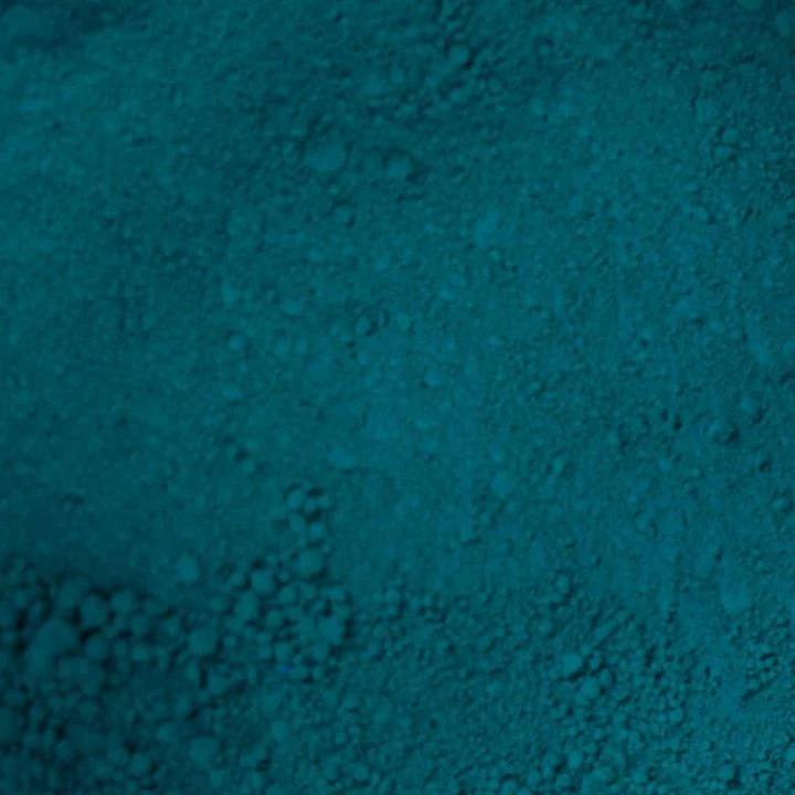 Renesans Pigment Powder 50 g