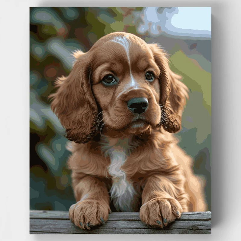 Adorable Spaniel Puppy - Paint by Numbers Kit