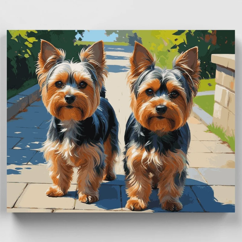 Two Adorable Yorkshire Terriers - Paint by Numbers Kit