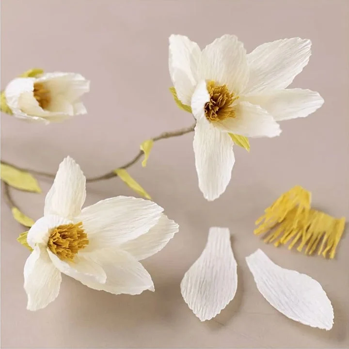 Mini Craft Set | Crepe Paper Magnolia Branch