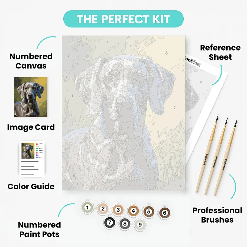 Weimaraner in Golden Meadow Light - Paint by Numbers Kit