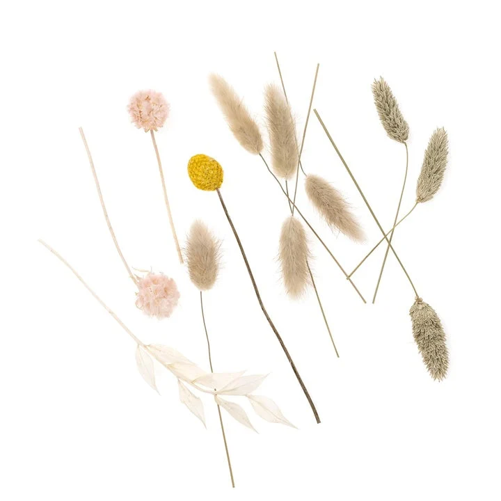 Mini Dried Bouquet "Beige Touch" / 20 cm