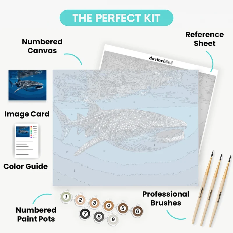 Whale Shark Swimming Underwater - Paint by Numbers Kit