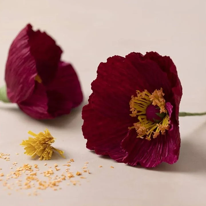 Mini Craft Set | Crepe Paper Poppies